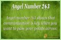263 Angel Number Meaning - Pulptastic