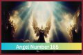 
ANGEL NUMBER 165

