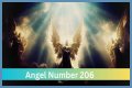 
ANGEL NUMBER 206
