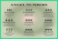 
Repeating Angel Numbers - 3's and 6's  (3366, 3636, 6633, 6363 etc)
